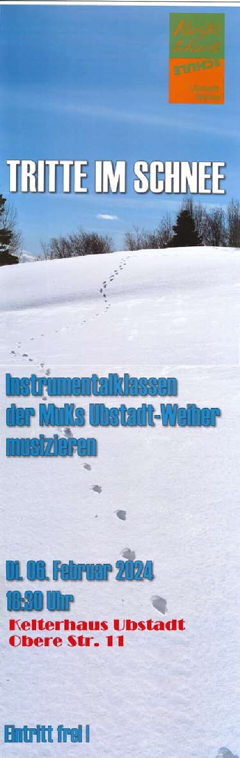 Tritte im Schnee - Instrumentalklassen der Musik- und Kunstschule Ubstadt-Weiher musizieren