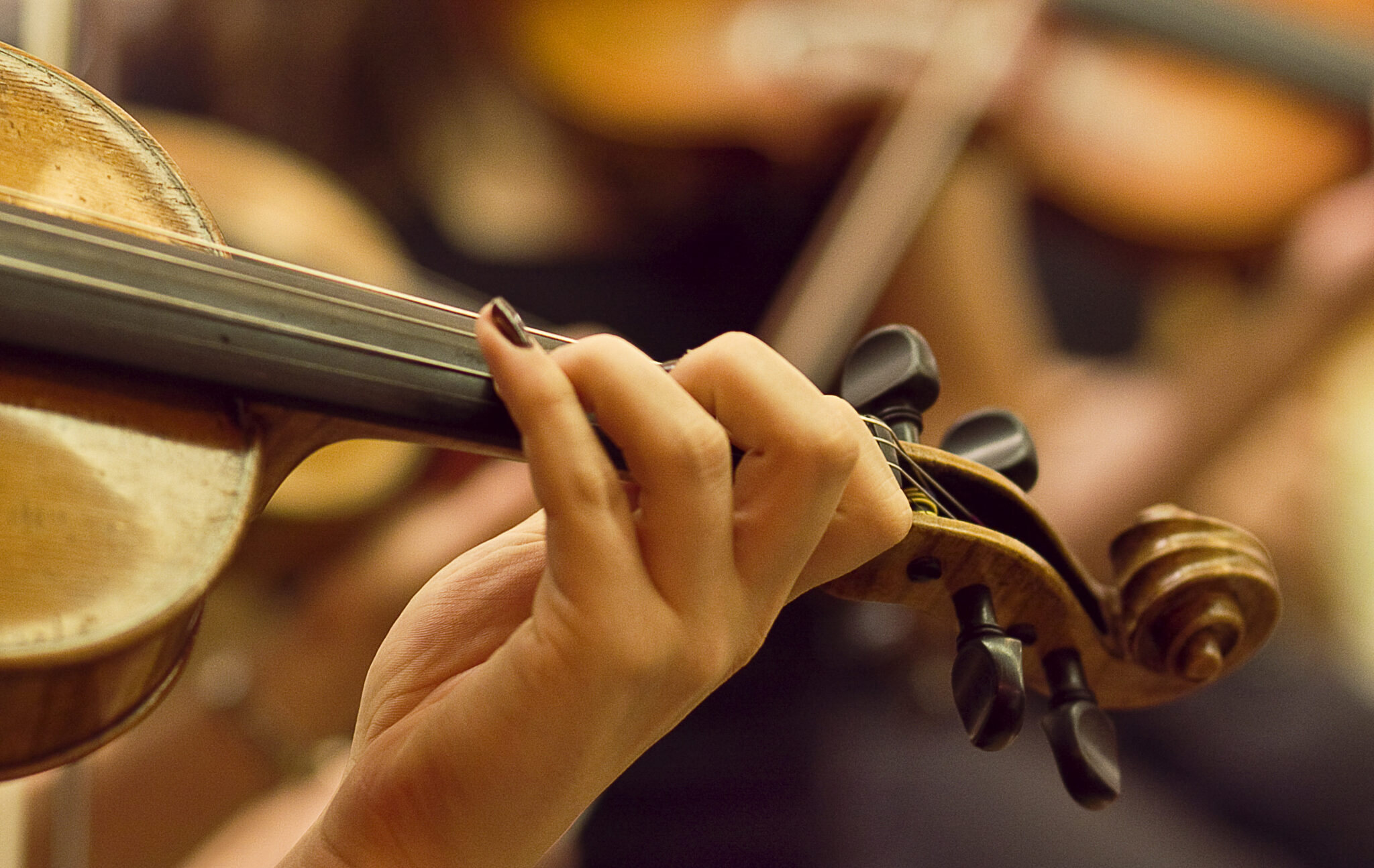 „Fiddle and Fun“ - Klassenvorspiel Claudia Liske