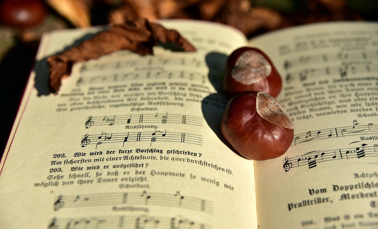 Klänge im Herbstwind - Instrumentalklassen der MuKs Ubstadt-Weiher musizieren 