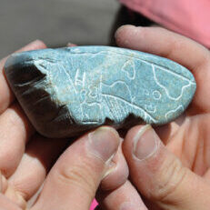 A Speckstein TiereRGB72dpi