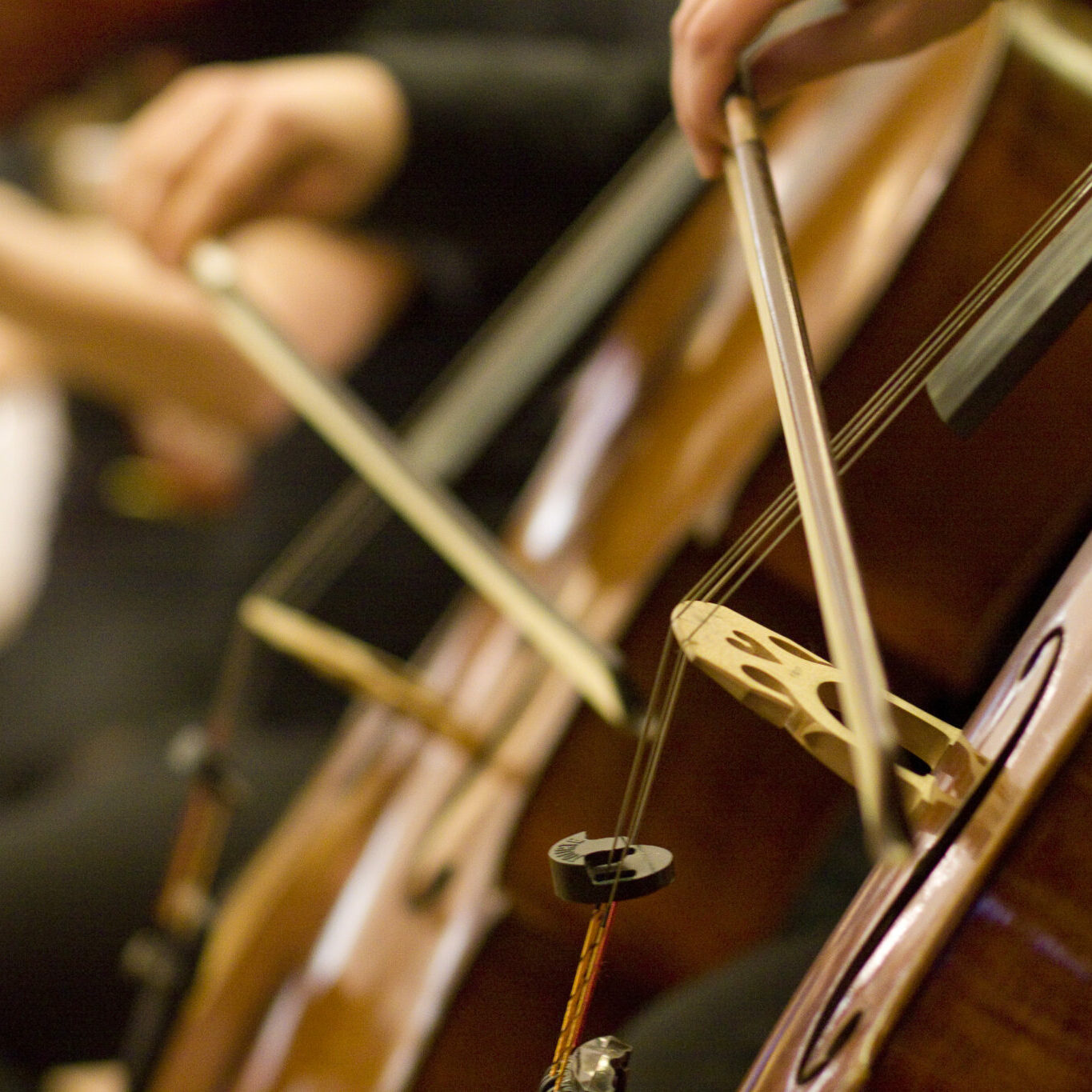 Cello1 Cello1