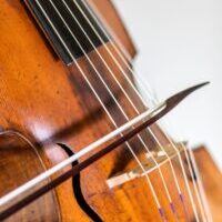 Gambe / Viola da Gamba